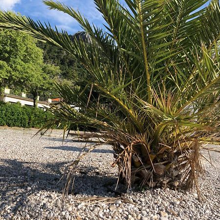 Villa Sabine Apartment Losinj ميدفيجا المظهر الخارجي الصورة